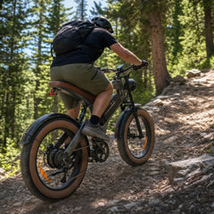Zonveer  M20 All-Terrain Long-Range Electric Bike
