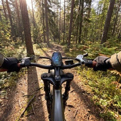 Zonveer  M20 All-Terrain Long-Range Electric Bike