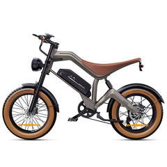 Zonveer  M20 All-Terrain Long-Range Electric Bike