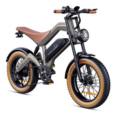 Zonveer  M20 All-Terrain Long-Range Electric Bike
