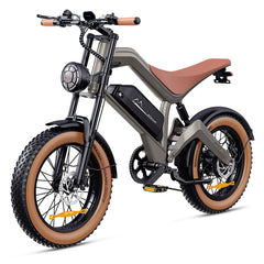 Zonveer  M20 All-Terrain Long-Range Electric Bike