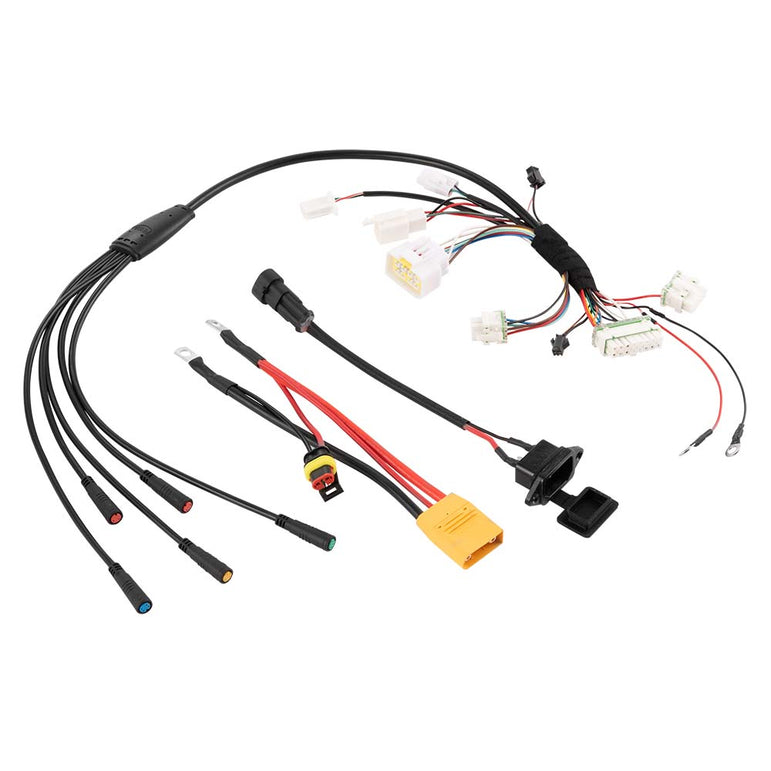 DX1 Main Wiring Harness