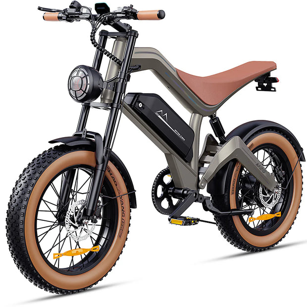 Zonveer  M20 All-Terrain Long-Range Electric Bike
