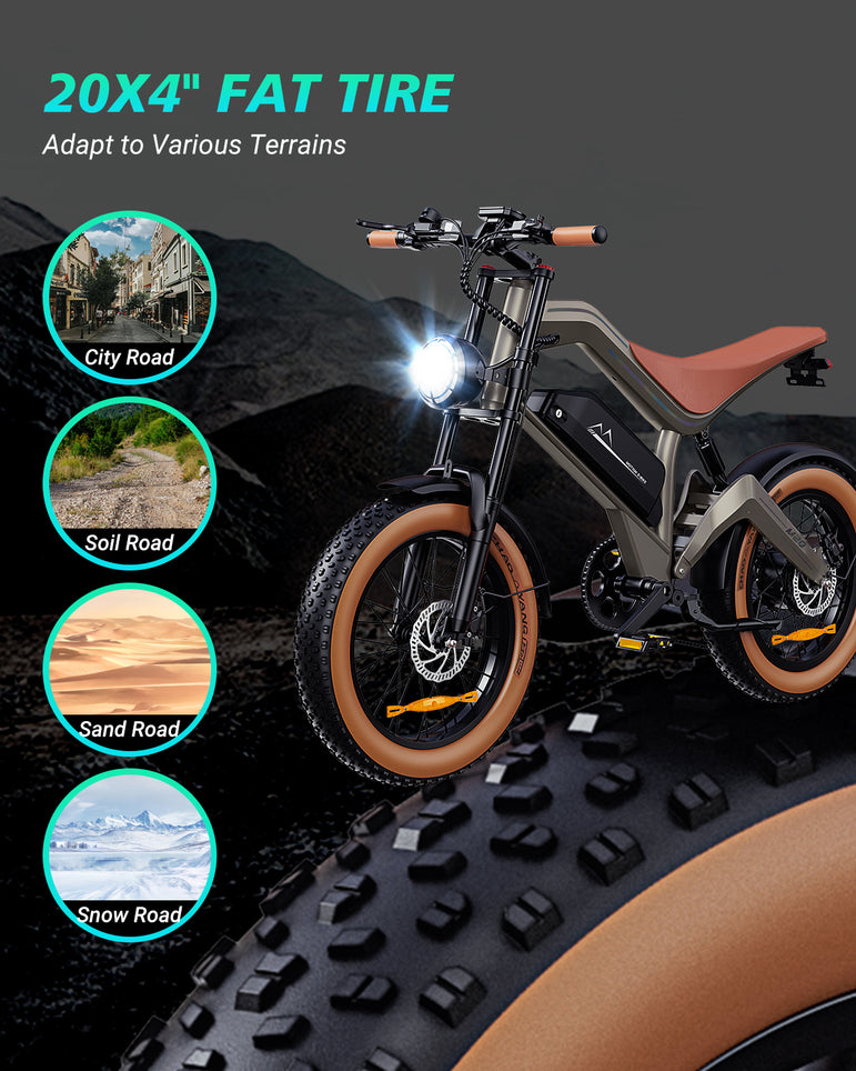 Zonveer  M20 All-Terrain Long-Range Electric Bike
