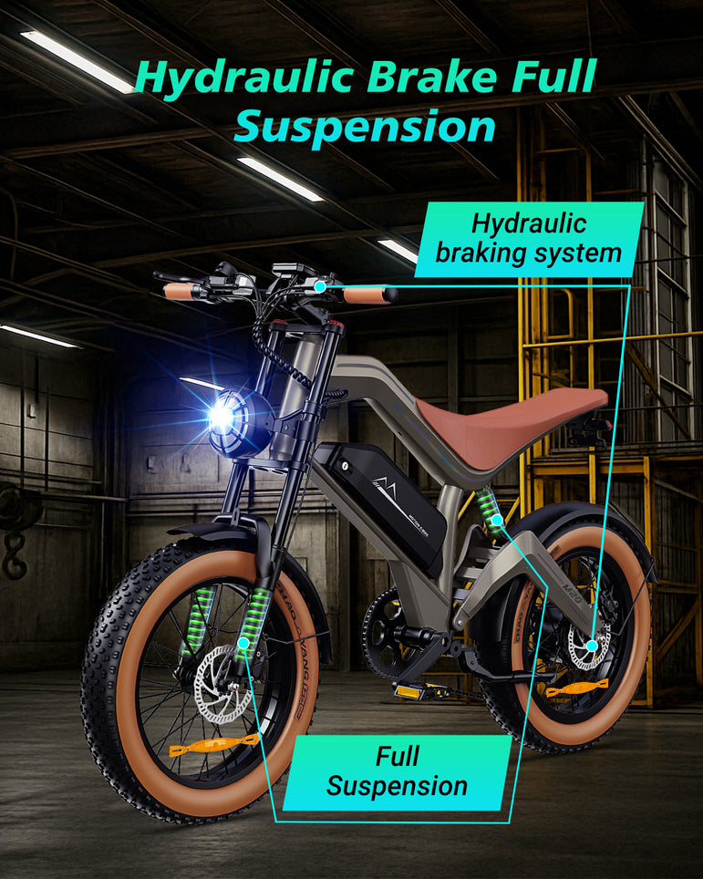 Zonveer  M20 All-Terrain Long-Range Electric Bike