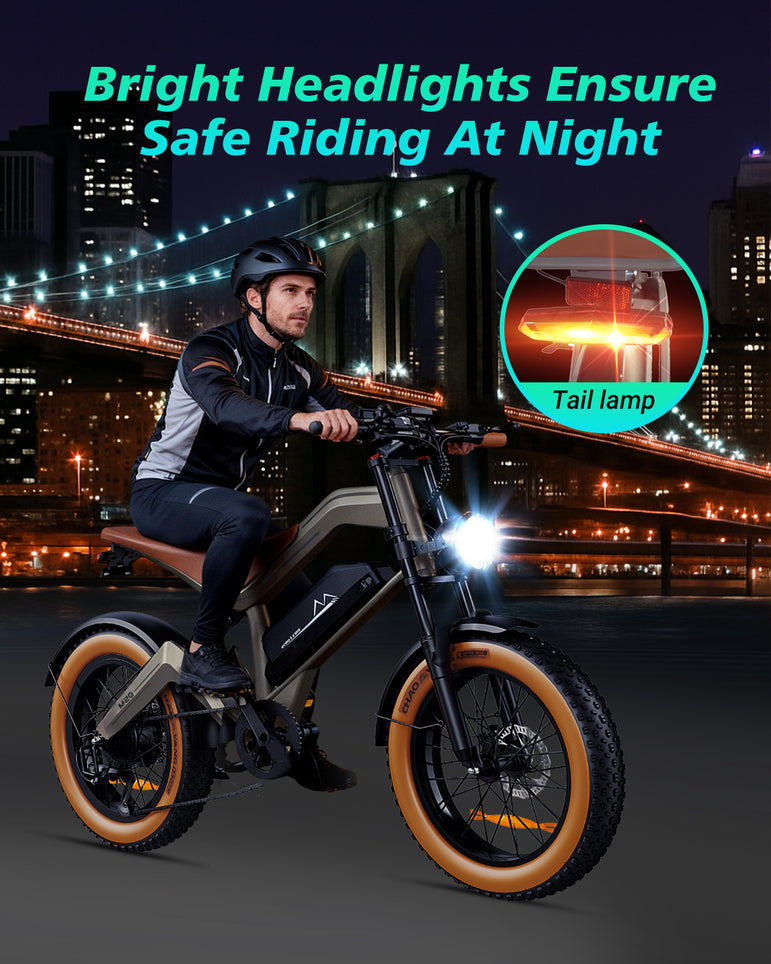 Zonveer  M20 All-Terrain Long-Range Electric Bike
